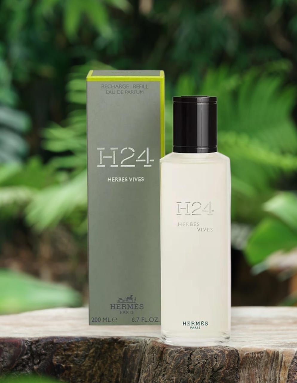 H24 HERBES VIVE