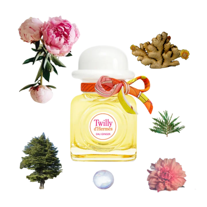 Twilly d'hermès eau Ginger
