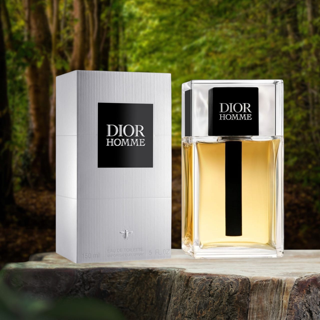 Dior Homme