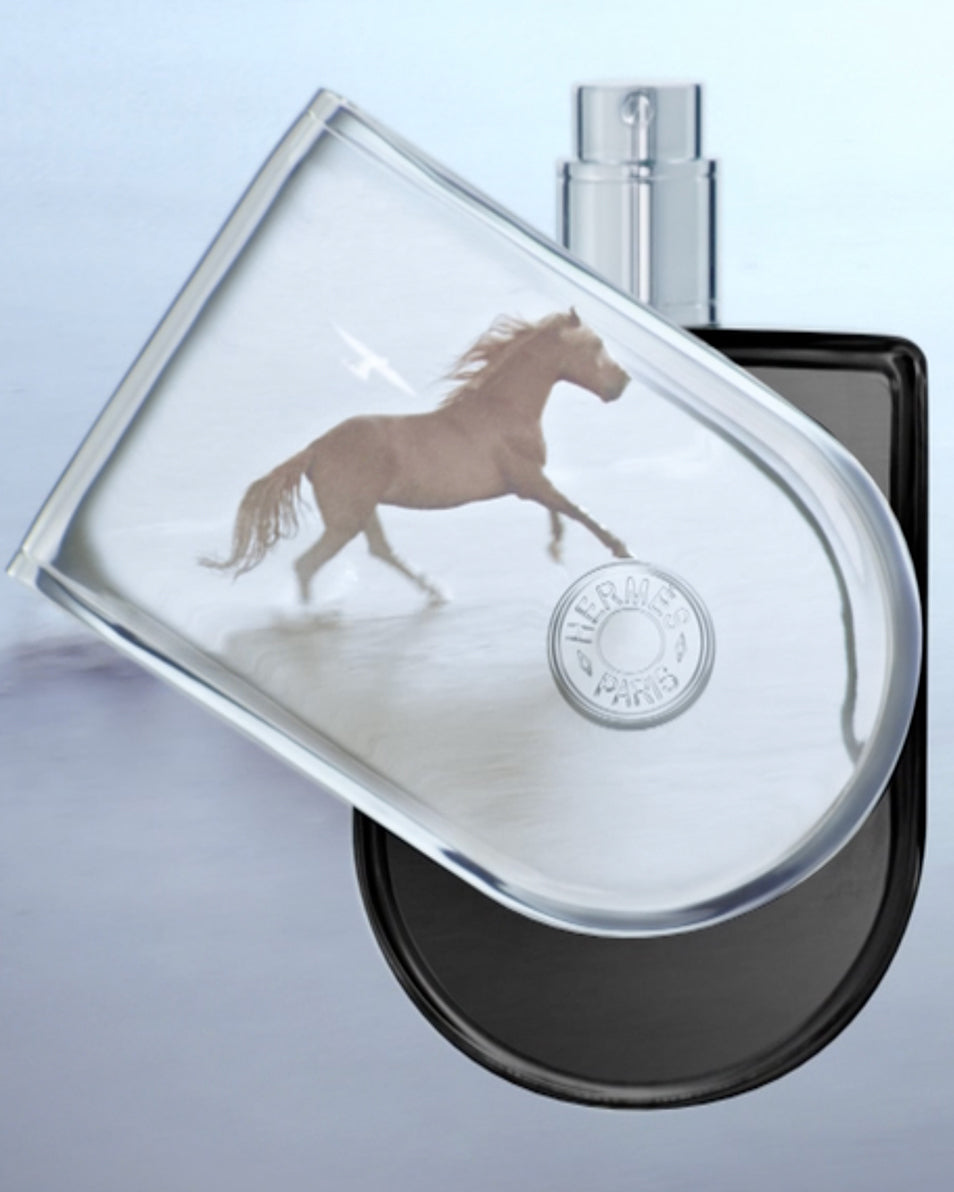 VOYAGE D'HERMES EDP - 100ML