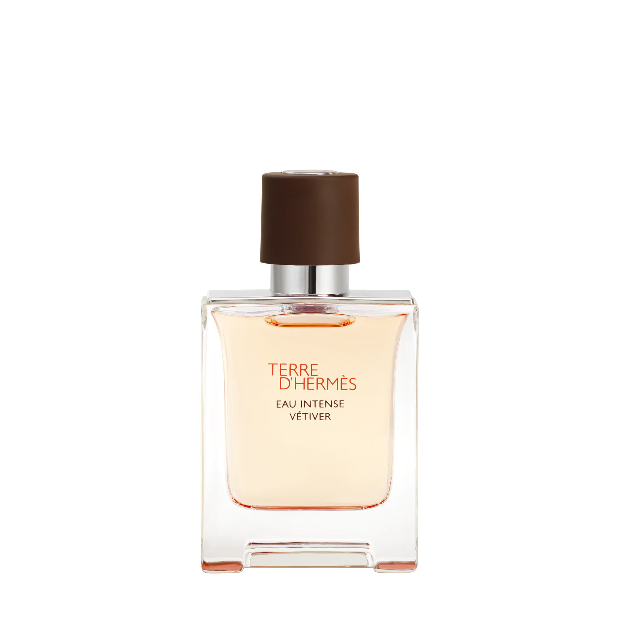 TERRE D'HERMES EDP - 100ML