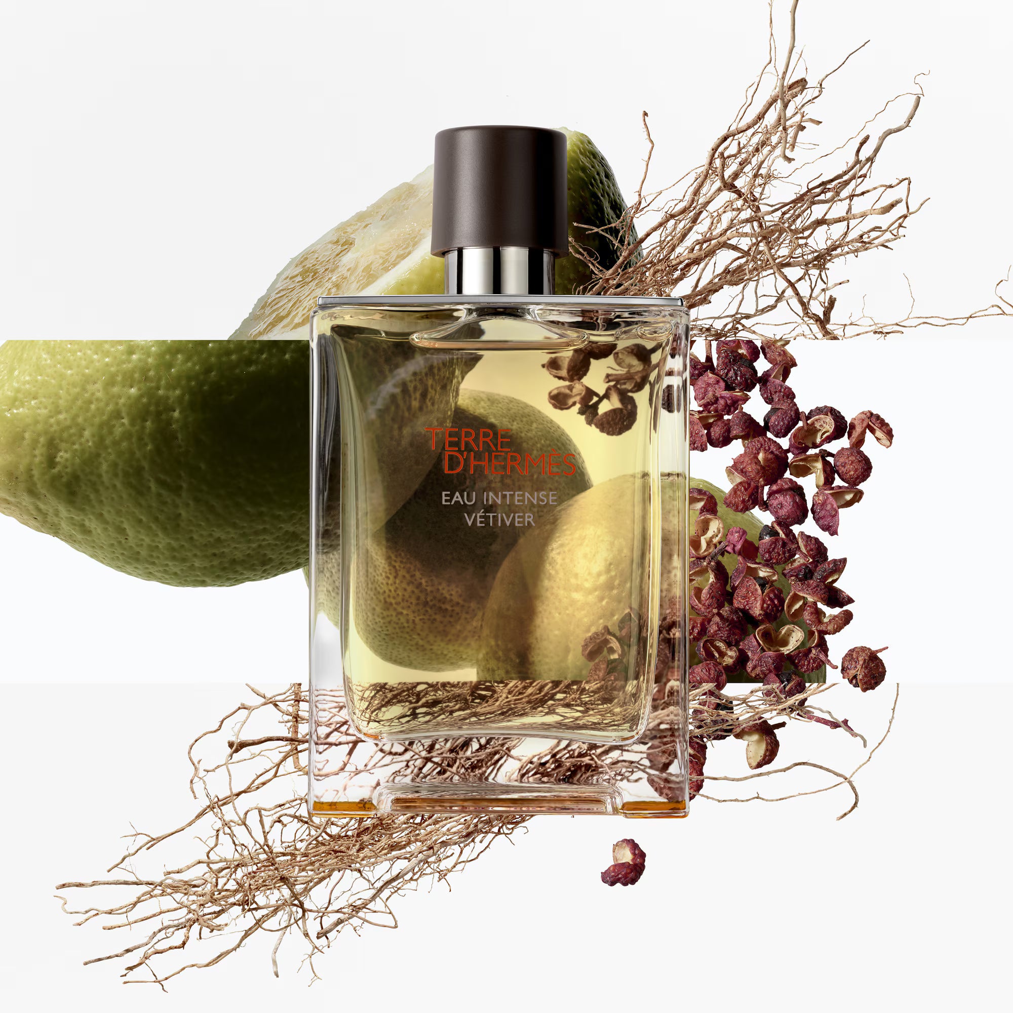 TERRE D'HERMES EDP - 100ML
